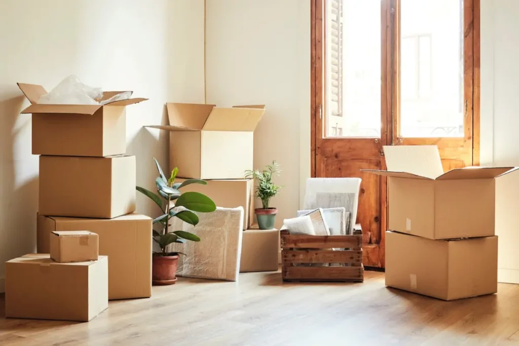 Moving boxes and potted plants in an empty, sunlit apartment